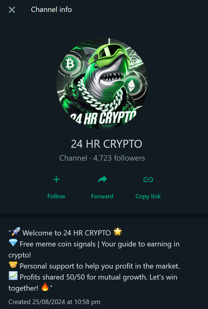 24-HR-Crypto-WhatsApp-Scammer