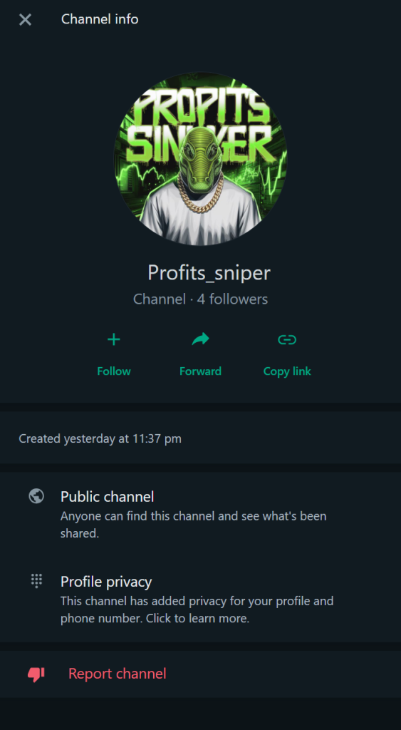 profits_sniper-whatsapp-scammer-24hr-crypto-563x1024